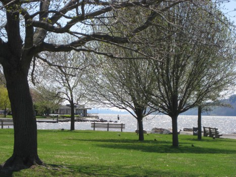 Dobbs Ferry Real Estate